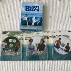 【抜け有】ビーチボーイズ DVD
