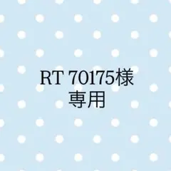 RT 70175様　専用ページ
