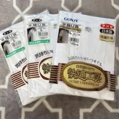 Item thumbnail for item dec04637-6fd4-4446-9f45-775e4539a352