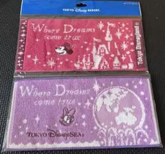 ディズニーランド　ミニタオルハーフサイズセット