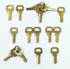 ルイヴィトン パドロックのキー 15点セット 南京錠の鍵