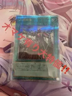 オマケ有り大特価‼️三戦の号　クオシク