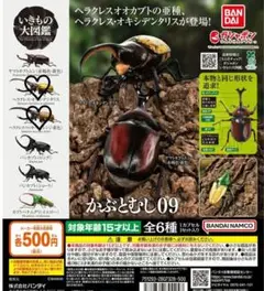 いきもの大図鑑 かぶとむし09 ヘラクレス