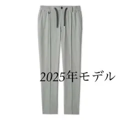 AOURE 現行 MALPENSA PANTS 4SEASONS PINHEAD