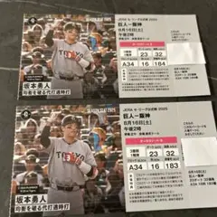 2025年最新】巨人 東京ドーム チケット オーロラの人気アイテム