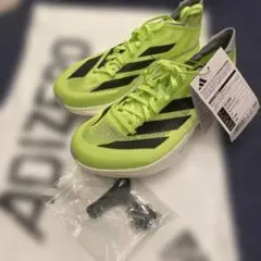 Item thumbnail for item b5d1669b-3f39-47e9-8b89-34eef2c25de5