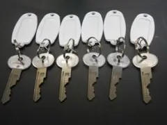 6本 コピーキー EMTR キー エムター 複製品 注※純正キーではありません