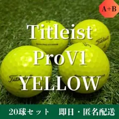 【銘 -MEI-】Titleist PRO V1 イエロー ロストボール 20球