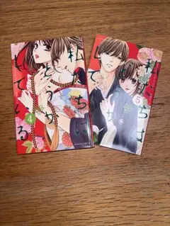 私たちはどうかしている 4・5巻 セット