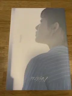 212.映画パンフレット「ミッシング」