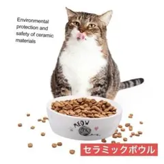 Item thumbnail for item 34ca2d73-e4ab-4a36-9a2f-0dc409cf7b0e