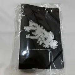 ポケモンカード ミニファイル ホウオウ ルギア