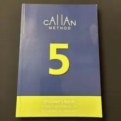 Item thumbnail for item 038665cb-bb13-4d01-835f-3b76bbbccf8a