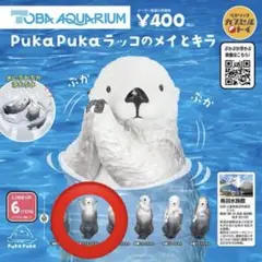 【新品】Puka Pukaラッコのメイとキラ ガチャガチャ お手上げキラちゃん①