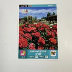 ロゲットカード　No.0172　関東0073　伊奈町制施行記念公園バラ園　第7弾