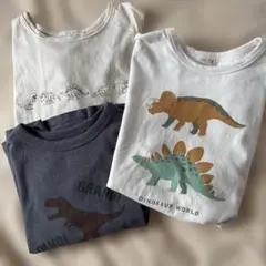 恐竜プリントTシャツ3枚セット 100 110