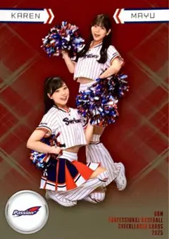 Item thumbnail for item 08f73b0f-da4f-49f5-9844-be7088ba6439