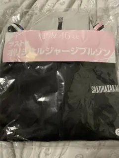 Item thumbnail for item 069517de-eebb-48f1-a059-75d8d670b616