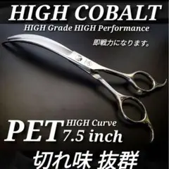 Item thumbnail for item e22c34e8-2d8f-4ef1-aca6-36cec7ef801b
