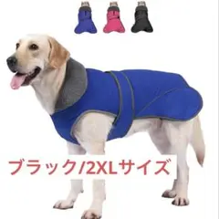 Item thumbnail for item 2bc9c474-170e-46cf-9612-95ae067d3b93