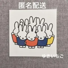 miffy ミッフィー 展 70周年限定 2025 ポストカード