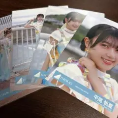 平尾帆夏 日向坂46 海風とわがまま MV 生写真 4種コンプ