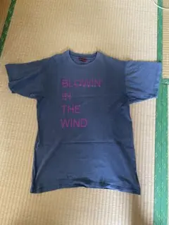BLOWIN' IN THE WIND Tシャツ グレー