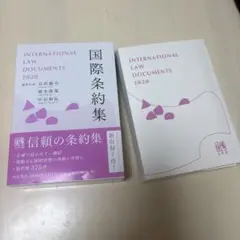 【美品】国際条約集 2020 本