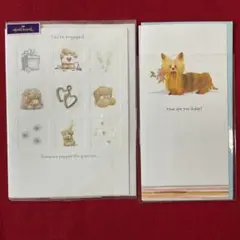 未使用品 Hallmark アメリカ ホールマーク グリーティングカード 2枚組