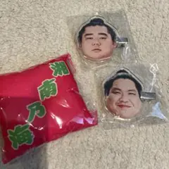 【新品未使用品】相撲　湘南乃海/錦木/ヘアピン/座布団/ガチャガチャ