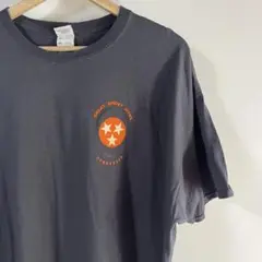 メンズ　Tシャツ　ネイビー　フルーツオブザルーム　2XL