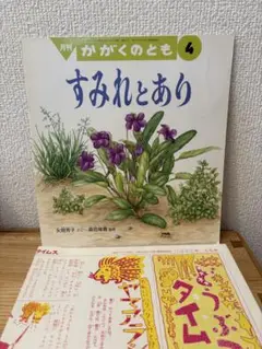絶版　希少　すみれとあり 月刊 かがくのとも