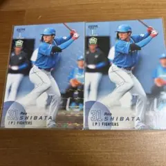 柴田玲央 RCカード 31 日本ハムファイターズ