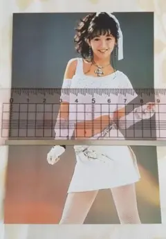 本田美奈子 L判写真 No.139