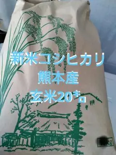 《新米、玄米》熊本産