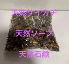 Item thumbnail for item 45f5ec4f-29db-4841-b7aa-5eb64ba5a281