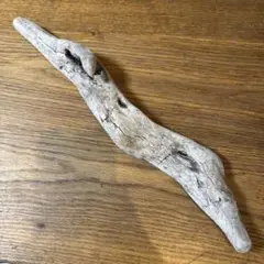 Item thumbnail for item c46b7bd3-2643-4da7-98a4-8743b9d2f7fd