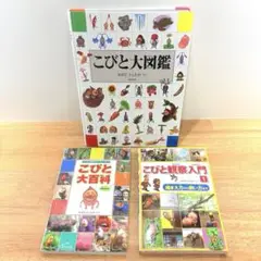 【3冊セット】こびと大図鑑・大百科・観察入門セット