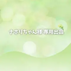 ナポリちゃん様 リクエスト 2点 まとめ商品