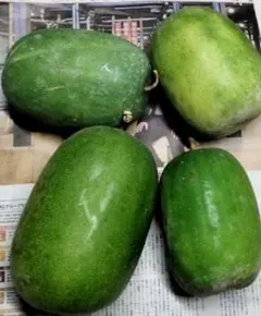 冬瓜 4個セット 旬のお野菜 匿名配送 カリウム ビタミンC 食物繊維 ペクチン