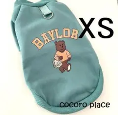 Item thumbnail for item 937a29de-1476-4cbf-8cb2-2d117759e6cb
