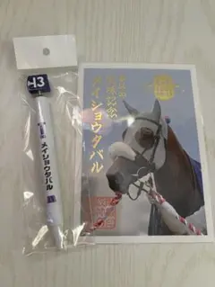 Item thumbnail for item b60d6c60-136a-4807-8634-3214f206b326