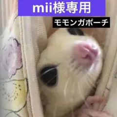 Item thumbnail for item 802affaa-8efa-44e2-9d79-aa17c2cffd37