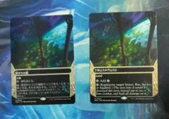MTG 群がりの庭/Swarmyard EOS ボーダーレス 2枚