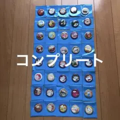 ハーゲンダッツ　40周年缶バッジ　40個　フルコンプ