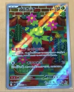 マラカッチAR さくれつばり