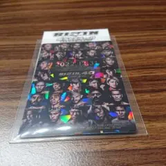 RIZIN ポテトスティック ポスターカードコレクション No.18 鎧