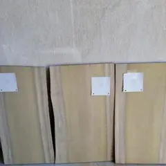 Item thumbnail for item 8de5ebd7-35b9-454b-86fd-954207dbd4c3