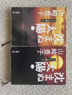 沈まぬ太陽アフリカ篇上下巻セット