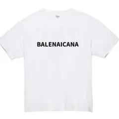 Tシャツ　男女兼用　М　白T